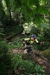 BIB: 
                            <button type="button" onclick="openModal(16033240)" class="btn btn-primary btn-sm float-right btn-popup" data-toggle="modal" data-target=".modal-high-quality">
                        <i class="fas fa-shopping-cart"></i> Add to Cart
                    </button>
                                            <button type="button" onclick="isThisMe(16033240, true)" class="btn btn-success btn-sm float-right btn-popup btn-isme hidden" data-toggle="tooltip" data-placement="bottom" title="นี่คือรูปของคุณใช่ไหม คลิกที่นี่เพื่อเอาเข้าอัลบั้ม">
                        <i class="fas fa-plus"></i> Add to album
                    </button>
                    <button type="button" onclick="isThisMe(16033240, false)" class="btn btn-warning btn-sm float-right btn-popup btn-isnotme hidden">
                        <i class="fas fa-ban"></i> Remove from album
                    </button>